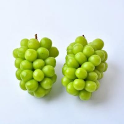 シャインマスカット 4房(茨城県共通返礼品:かすみがうら市)