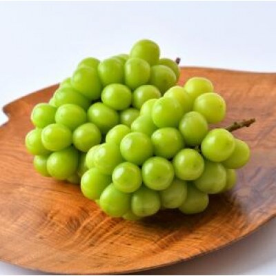 シャインマスカット 約5kg(7〜9房) 茨城県共通返礼品:かすみがうら市