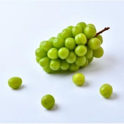 シャインマスカット 約5kg(7〜9房) 茨城県共通返礼品:かすみがうら市