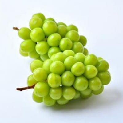 シャインマスカット 約5kg(7〜9房) 茨城県共通返礼品:かすみがうら市