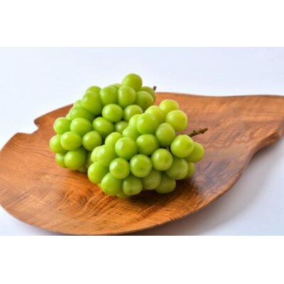 桐箱　シャインマスカット　2房　(茨城県共通返礼品:かすみがうら市)