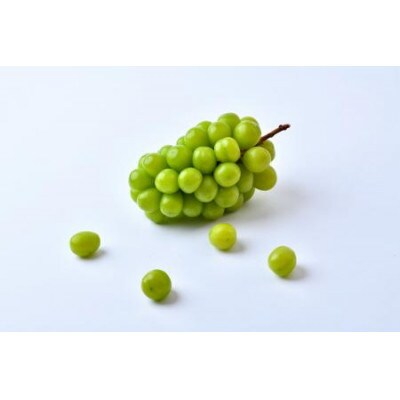 桐箱　シャインマスカット　2房　(茨城県共通返礼品:かすみがうら市)