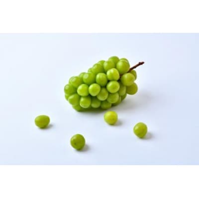 訳あり シャインマスカット 2kg (茨城県共通返礼品:かすみがうら市)