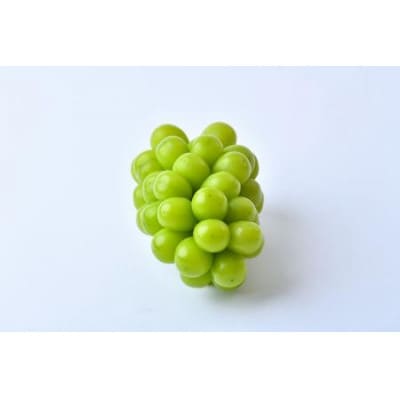訳あり シャインマスカット 2kg (茨城県共通返礼品:かすみがうら市)