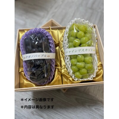 お中元(のし付き)　桐箱　シャインマスカットと巨峰　各1房　県内共通返礼品:かすみがうら市