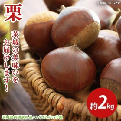 栗　2kg(茨城県共通返礼品:つくばみらい市)