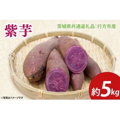 紫芋 5kg(茨城県共通返礼品:行方市)