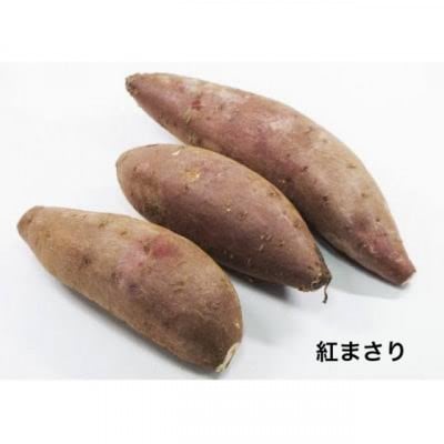 紅まさり　5kg 県内共通返礼品:行方市