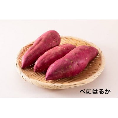お芋の食べ比べ　3品種×各3kg 県内共通返礼品:行方市