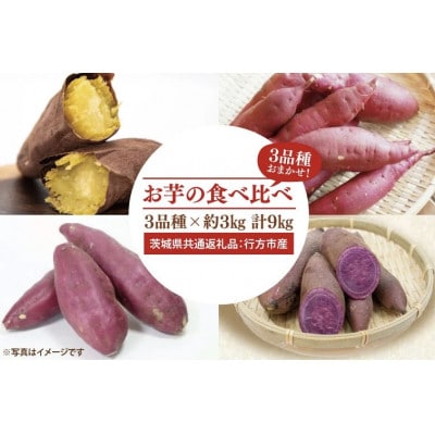 お芋の食べ比べ 3品種×各3kg(茨城県共通返礼品:行方市)