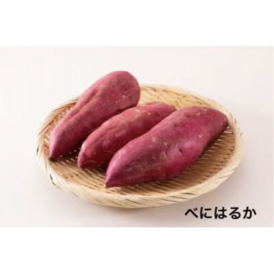 お芋の食べ比べ 3品種×各3kg(茨城県共通返礼品:行方市)