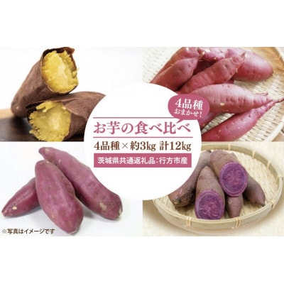 お芋の食べ比べ 4品種×各3kg(茨城県共通返礼品:行方市)