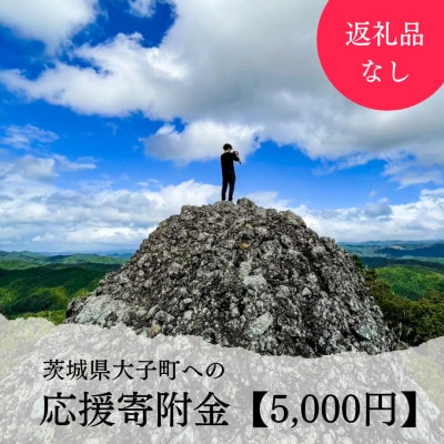 【返礼品なし】茨城県大子町 寄付のみの応援 5,000円