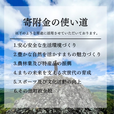 【返礼品なし】茨城県大子町 寄付のみの応援 5,000円