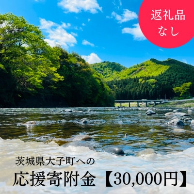 【返礼品なし】茨城県大子町 寄付のみの応援 30,000円