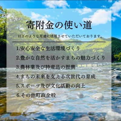 【返礼品なし】茨城県大子町 寄付のみの応援 30,000円