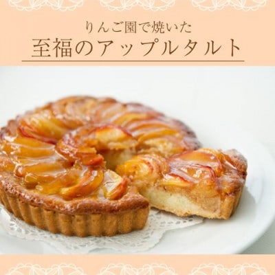 りんご園で焼いた至福のアップルタルト(ホールサイズ)|茨城県 大子町 奥久慈