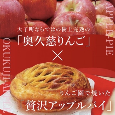 【藤田観光りんご園】奥久慈りんご2kg&贅沢アップルパイ(1ホール)セット　茨城県大子町