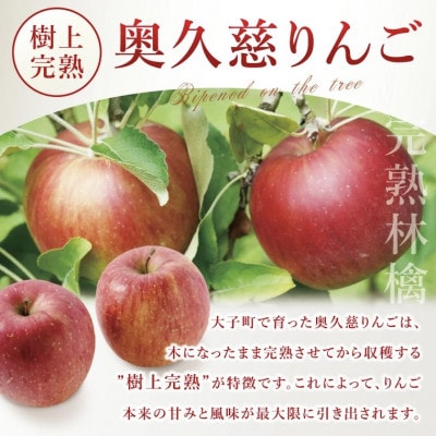 【藤田観光りんご園】奥久慈りんご2kg&贅沢アップルパイ(1ホール)セット　茨城県大子町
