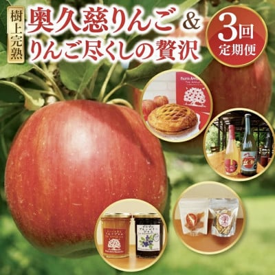 【毎月定期便】【藤田観光りんご園】樹上完熟の奥久慈りんごとりんご尽くしの贅沢加工品セット全3回
