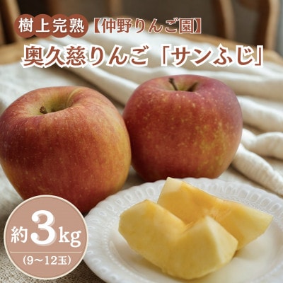 【仲野りんご園】樹上完熟の奥久慈りんご「サンふじ」約3kg(9～12玉)|茨城県 大子町 産地直送