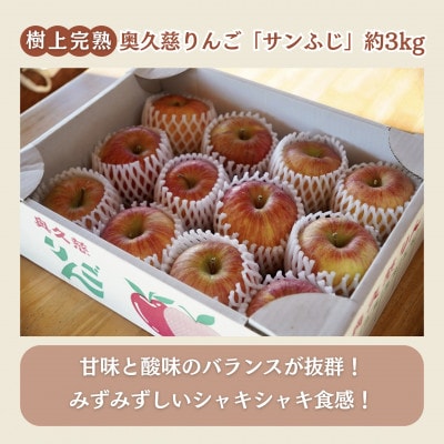 【仲野りんご園】樹上完熟の奥久慈りんご「サンふじ」約3kg(9～12玉)|茨城県 大子町 産地直送