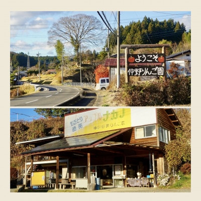 【仲野りんご園】樹上完熟の奥久慈りんご「サンふじ」約3kg(9～12玉)|茨城県 大子町 産地直送