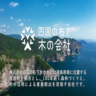 【SDGsカメバッチ】と【森林の豊かさを守るエシカルな備長炭】樵木(こりき)備長炭1kg