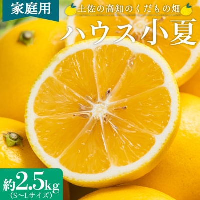【2026年出荷】ハウス小夏(日向夏)約2.5kg(家庭用) 土佐の高知のくだもの畑 kd-0029