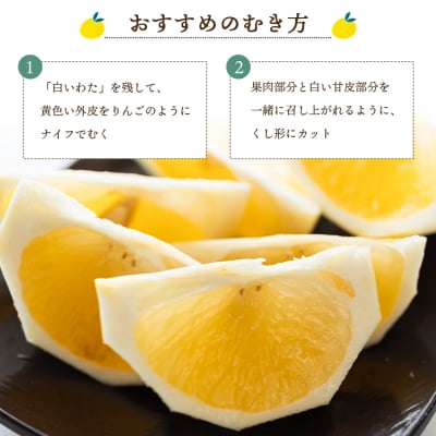 【2026年出荷】ハウス小夏(日向夏)約2.5kg(家庭用) 土佐の高知のくだもの畑 kd-0029