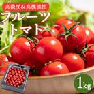 【第3回 全国ミニトマト選手権 [銅賞] 受賞!】フルーツトマト1kg 先行受付 kr-0070