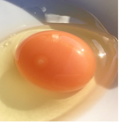 黒麹育ちの赤たまご 30個
