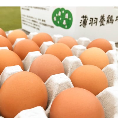 黒麹育ちの赤たまご 75個