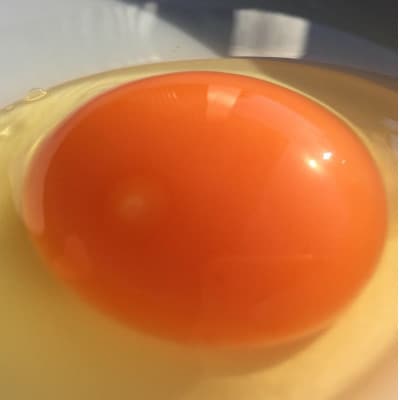 黒麹育ちの赤たまご 75個