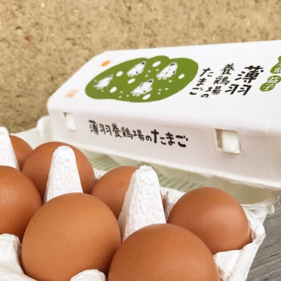 【毎月定期便】黒麹育ちの赤たまご30個全12回