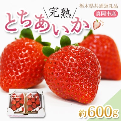 【栃木県共通返礼品/真岡市産】【2027年発送先行予約】完熟とちあいか　約600g
