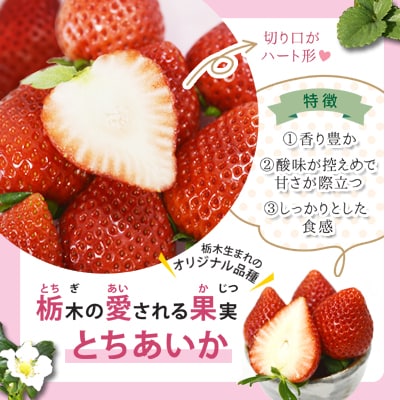 【栃木県共通返礼品/真岡市産】【2027年発送先行予約】完熟とちあいか　約600g