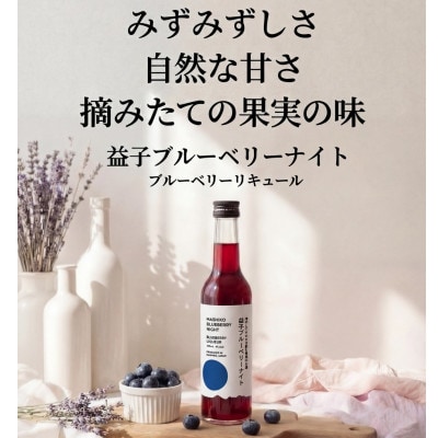 益子ブルーベリーナイト300ml　冷やしてそのまま飲む果実のお酒