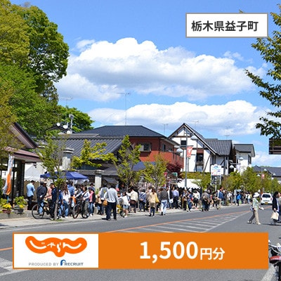 【じゃらんふるさと納税クーポン】 栃木県益子町でつかえる1,500円 クーポン