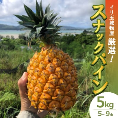 【2025年6月～7月頃の発送・訳あり】イリ玉城物産が厳選したスナックパイン5kg(5玉～9玉)