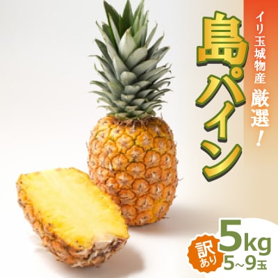 【2025年7月～8月頃の発送・訳あり】イリ玉城物産が厳選した島パイン5kg(5玉～9玉)