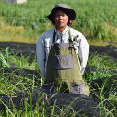 【2025年7月～8月頃の発送・訳あり】イリ玉城物産が厳選した島パイン5kg(5玉～9玉)