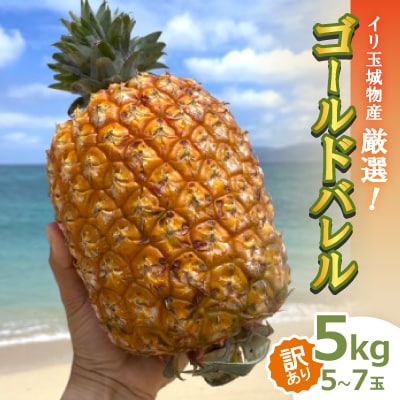 【2025年7月～8月頃の発送・訳あり】イリ玉城物産が厳選したゴールドバレル5kg(5玉～7玉)