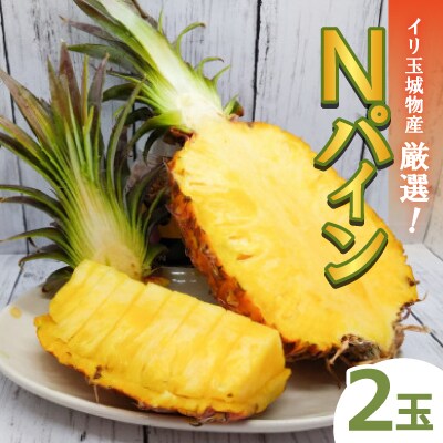 【2026年8月上旬から順次発送】イリ玉城物産が厳選!Nパイン2玉 パイナップル