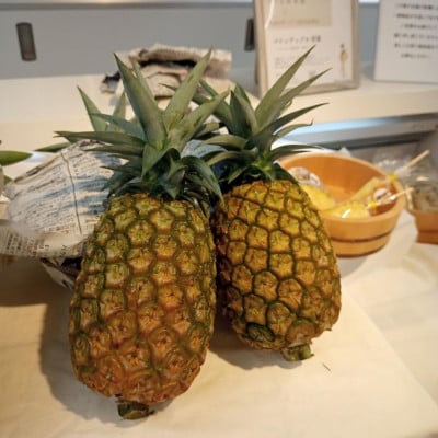 【2026年8月上旬から順次発送】イリ玉城物産が厳選!Nパイン2玉 パイナップル