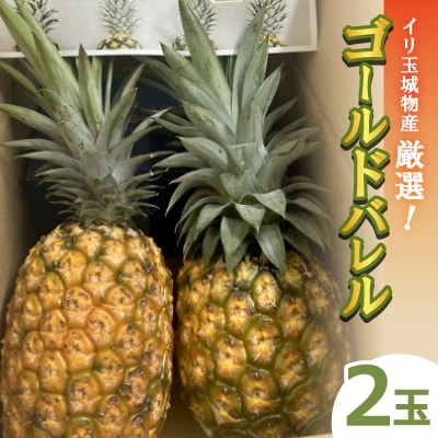 【2026年7月中旬から順次発送】イリ玉城物産が厳選したゴールドバレル 2玉 パイナップル