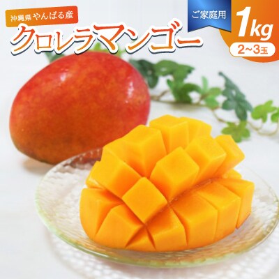 【2025年7月～8月頃の発送予定・ご家庭用】やんばる産のクロレラマンゴー1kg(2～3玉)