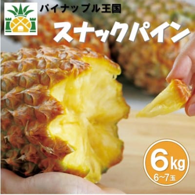 【2025年5月～6月頃の発送】スナックパイン6kg(6～7玉)
