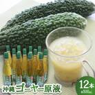 沖縄ゴーヤー原液1ケース(500ml×12本)