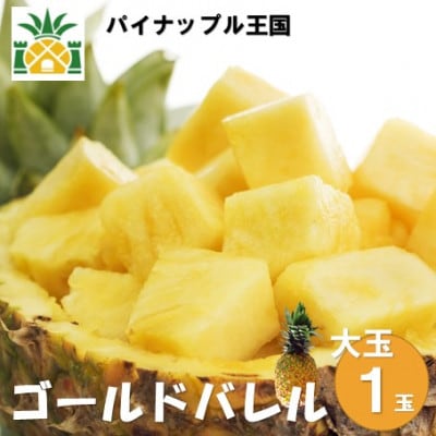 【2025年6月～7月頃の発送】パイナップルの王様 ゴールドバレル(大玉1玉)